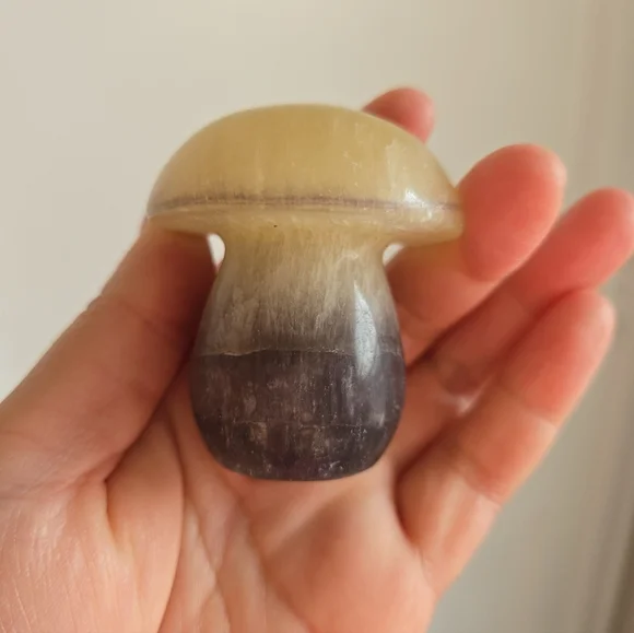 Fluorite Mushroom - Picture 6 of 10